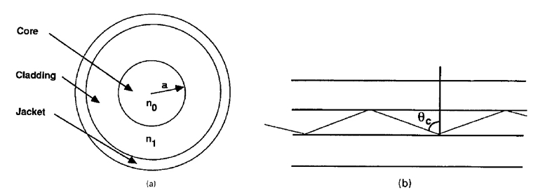 (a) 通用光纤设计，(b) 以全内反射的几何角度传播的光线路径
